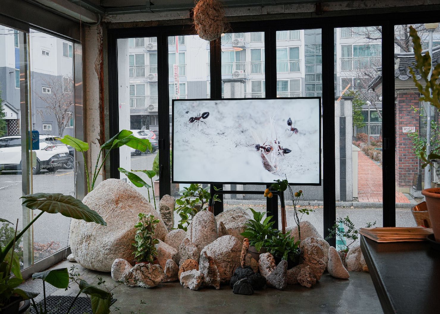 A room of pale New Rock forms and plants around a wall-mounted video screen