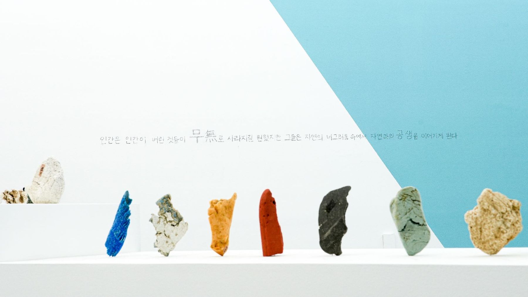 Specimens installed in a line along a white wall with a painted horizon