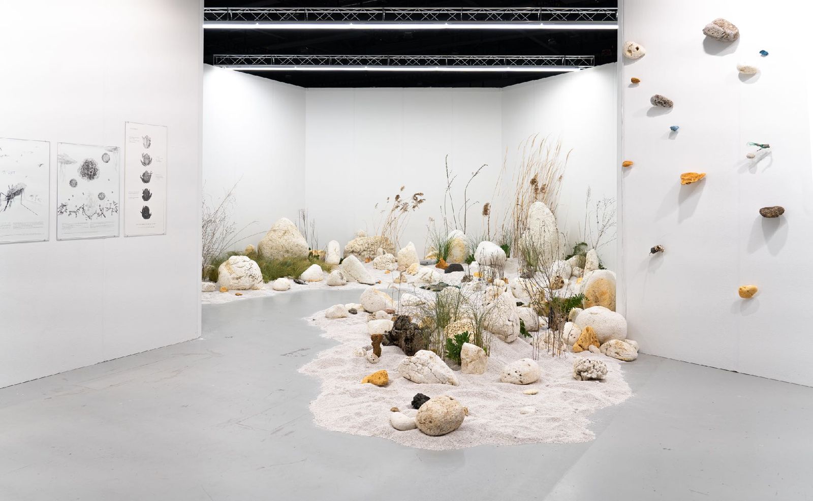 An installation of plants, perlite and plastic forms filling a white booth