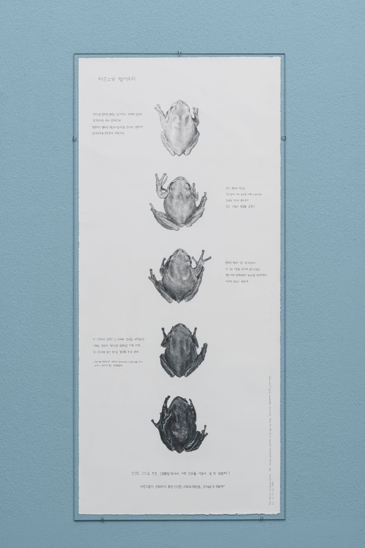 A framed sequence of pencil studies on a pale blue wall