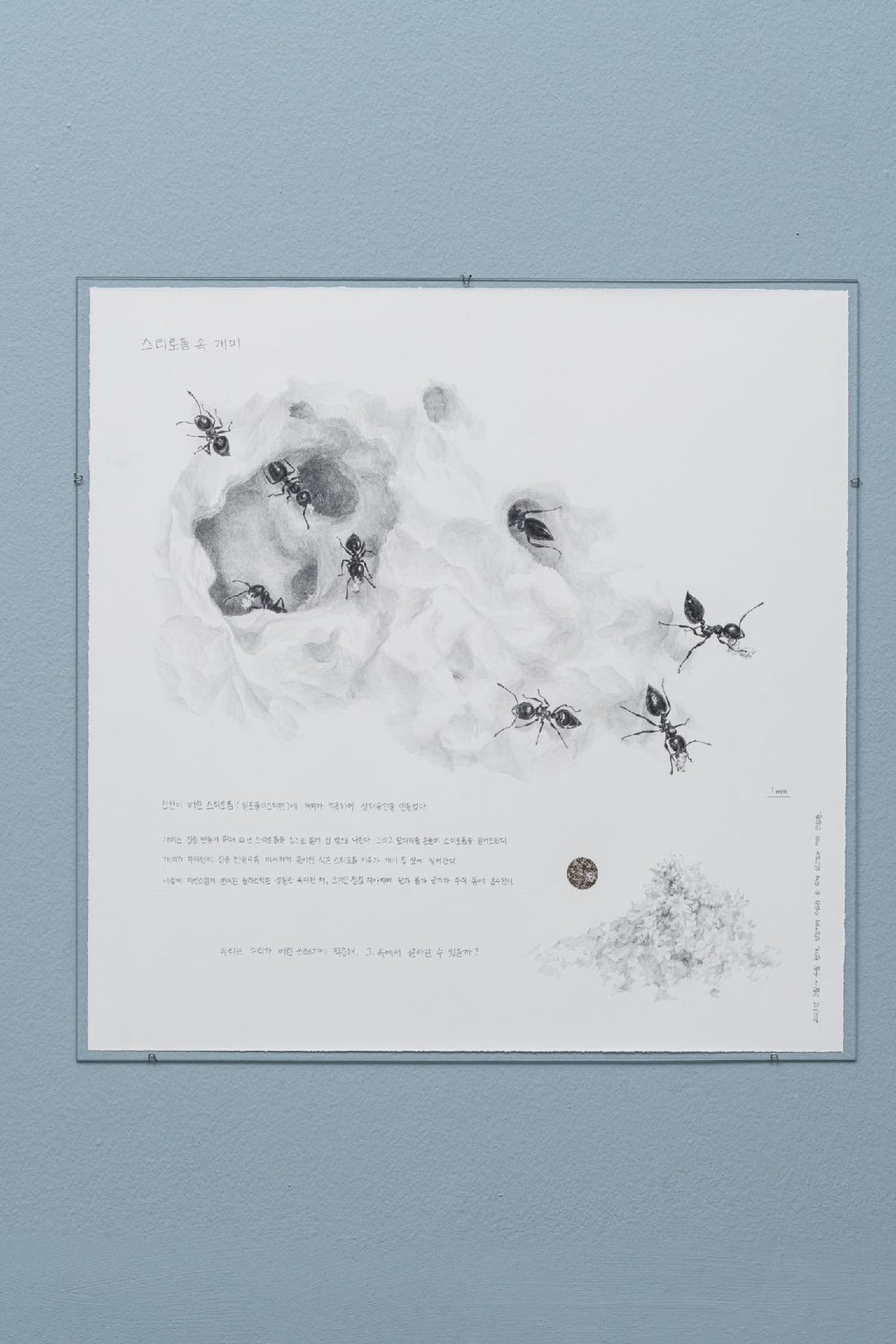 A detailed pencil drawing of ants moving through porous styrofoam
