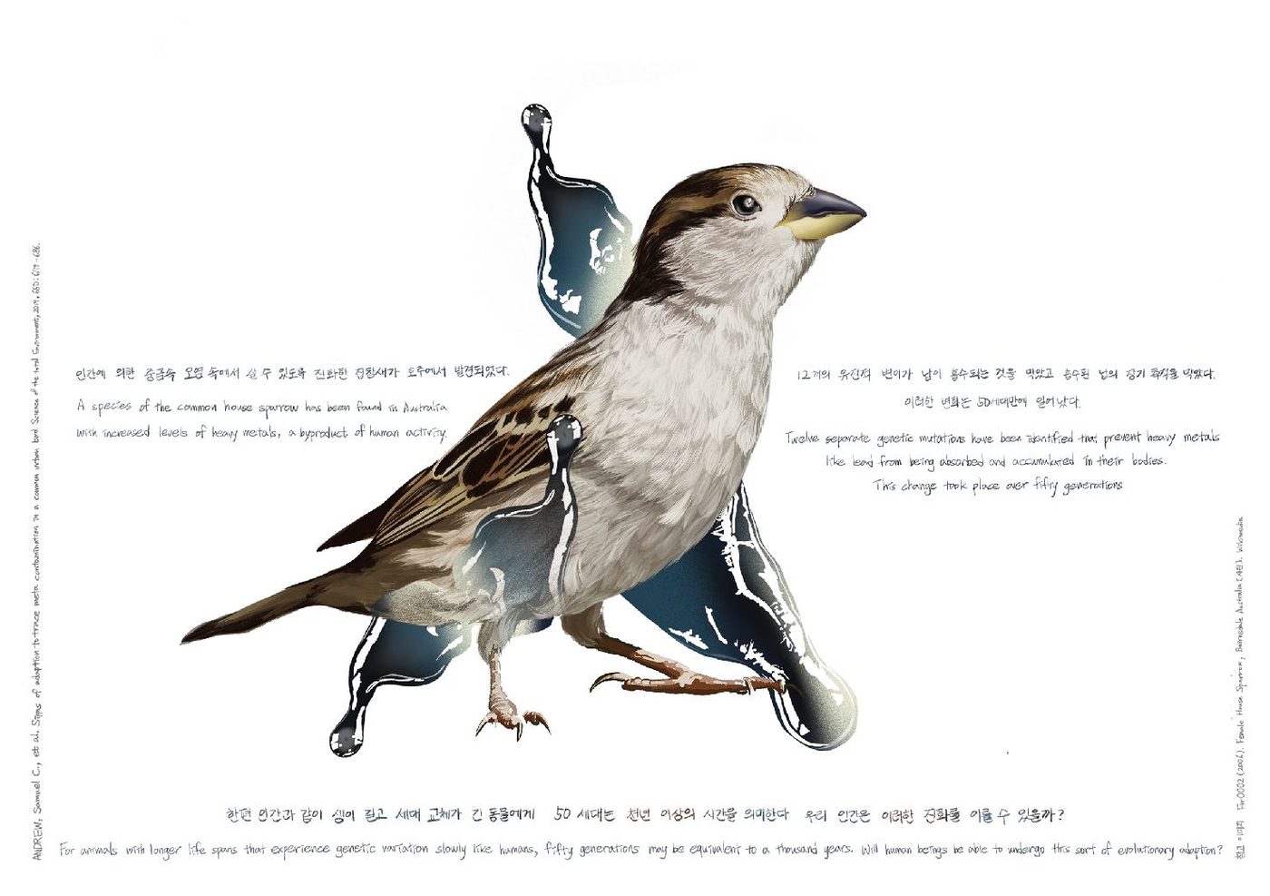 A natural-history style drawing of a sparrow perched on a plastic fragment