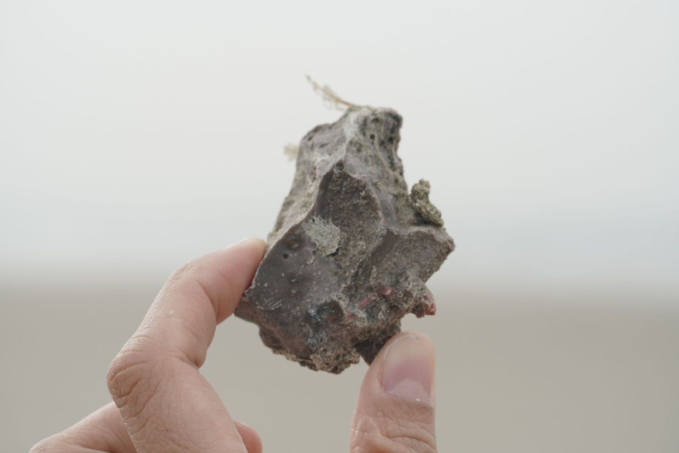 A hand holding a grey, pitted New Rock