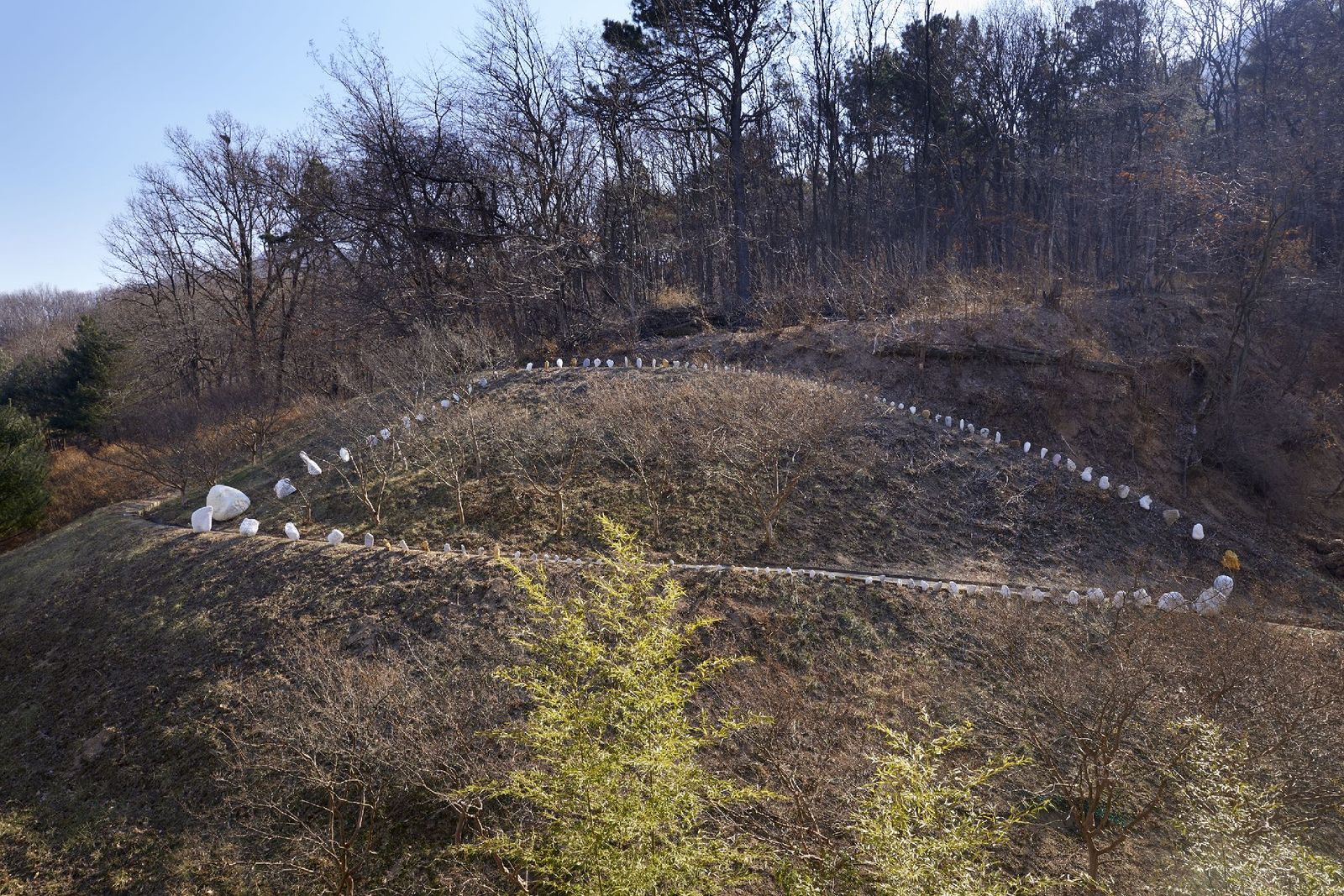 A broad line of pale plastic laid across a winter hillside at the Daegu Art Museum