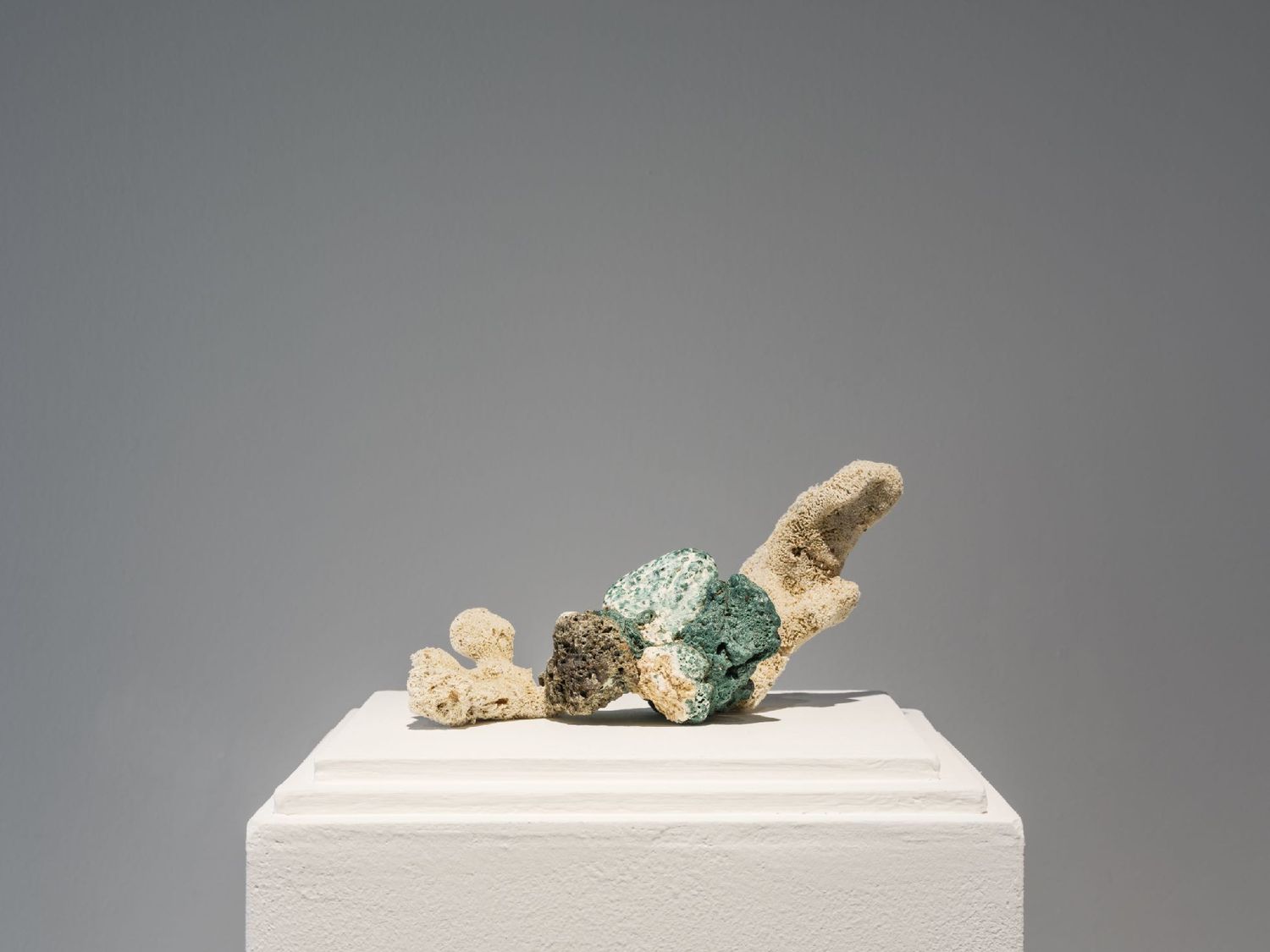 A collected natural object and a green plastic form paired on a single plinth