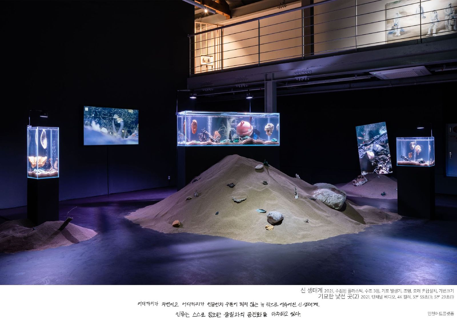 Illuminated water tanks holding New Rocks in a darkened room