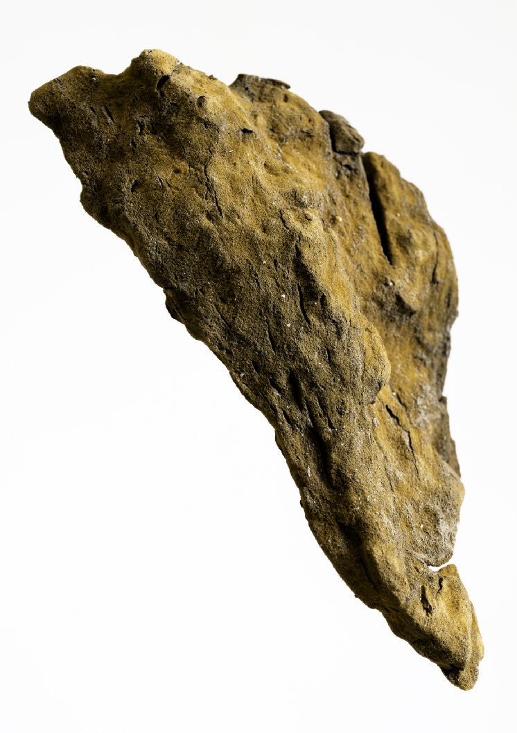 An elongated ochre New Rock printed on a white field