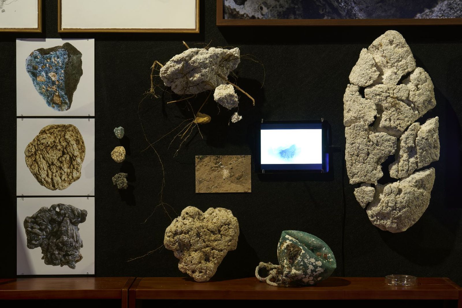 A dark vitrine of mounted specimens, drawings and a small video screen