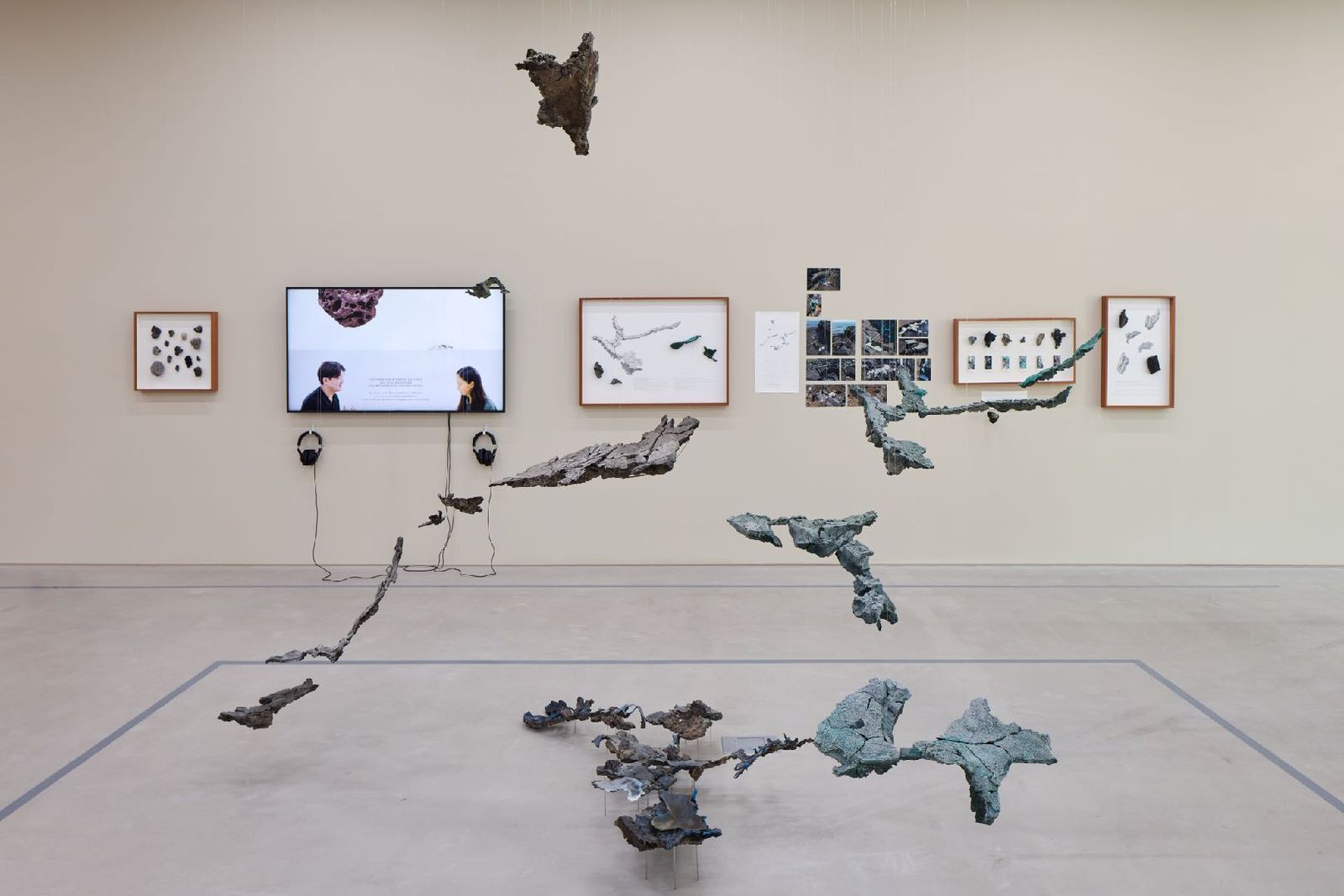 A white gallery with framed drawings and plastic specimens arranged along the floor and wall