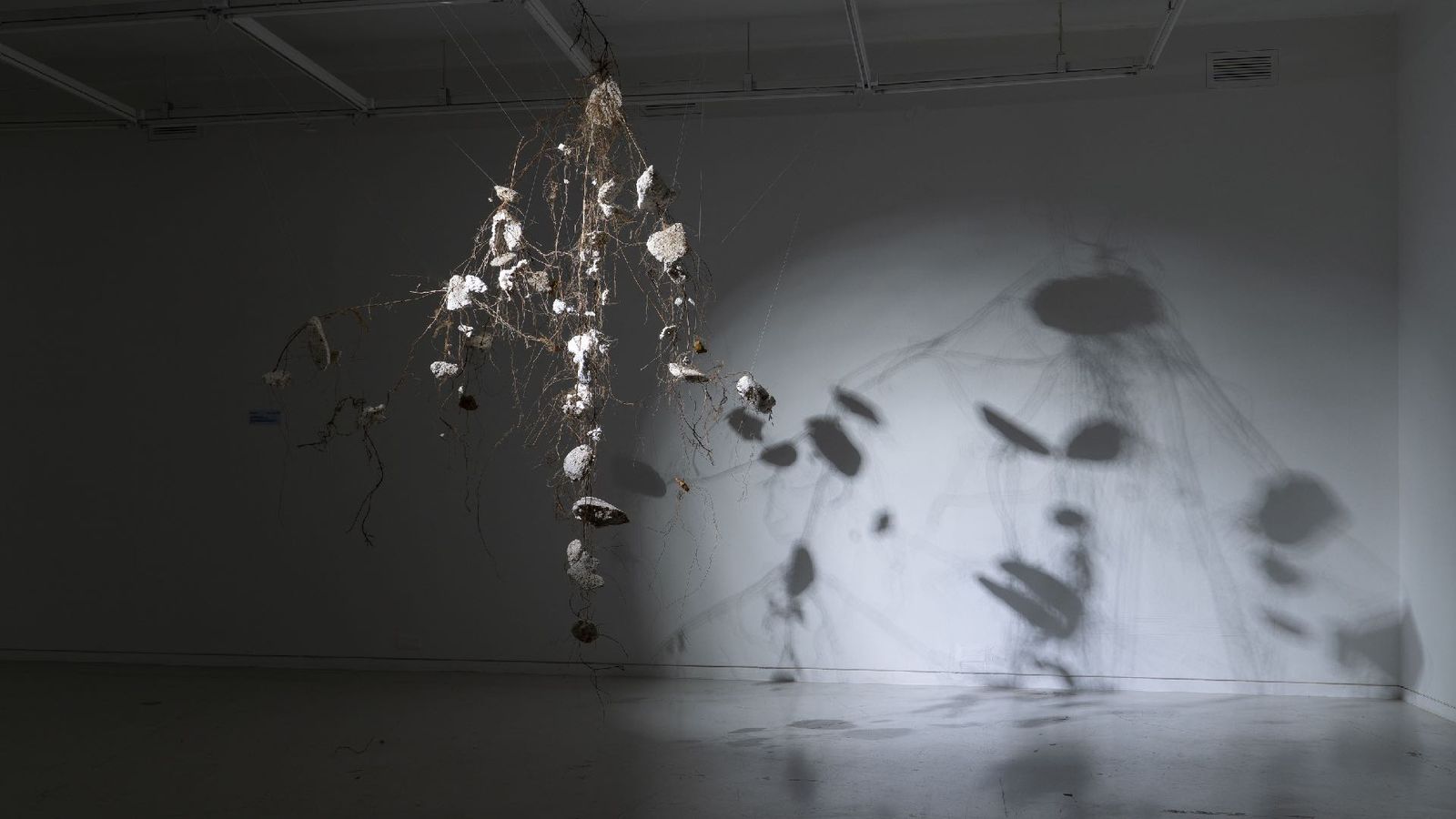 Plastic fragments suspended on threads casting long shadows across a dim gallery wall