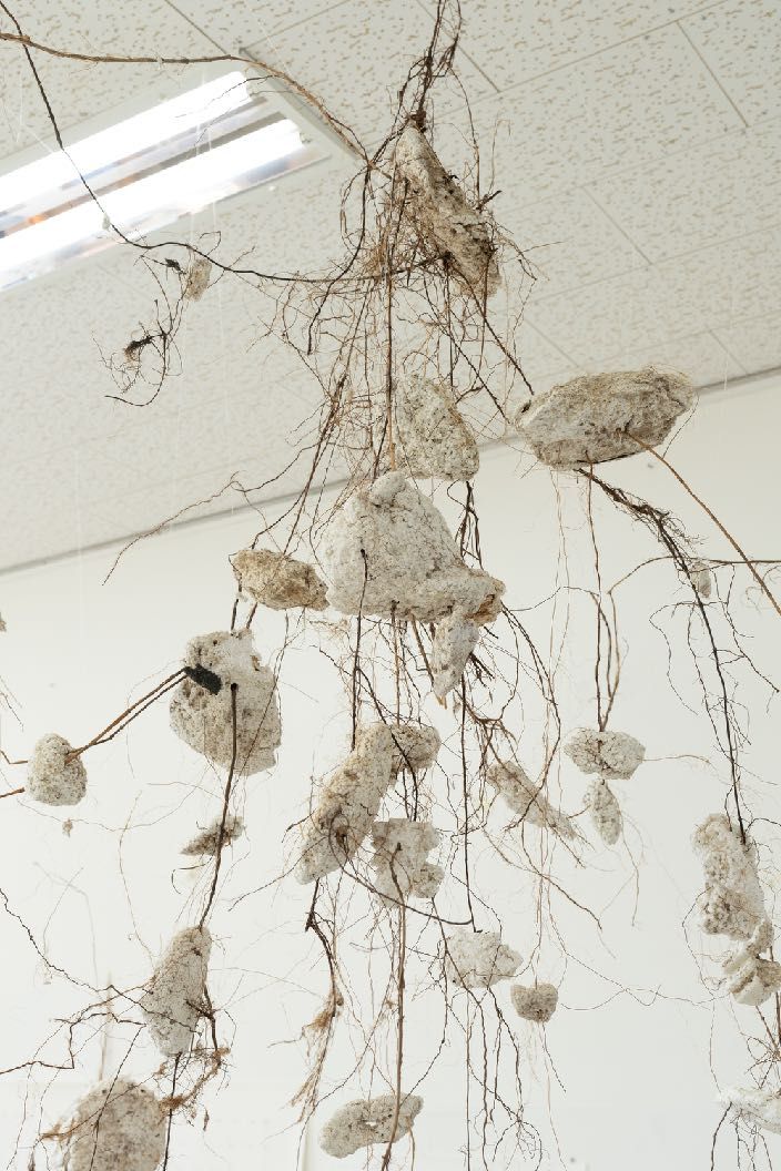 Root-like strands of thread and plastic hanging from a skylit ceiling