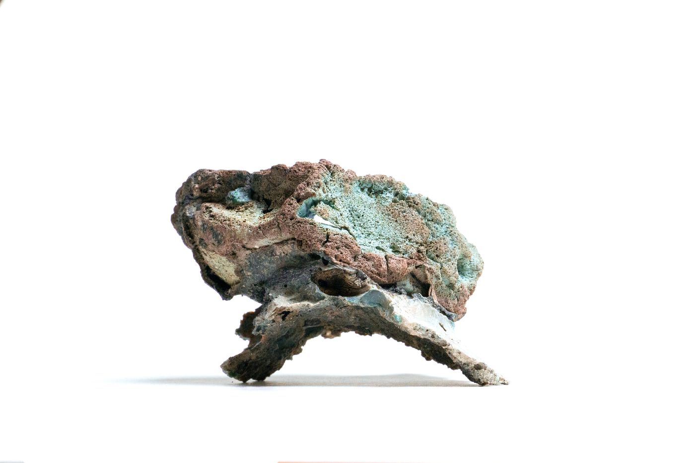 A copper-green weathered plastic specimen photographed on white