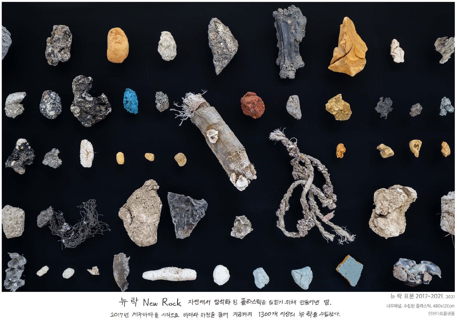 Dozens of small weathered plastic specimens arranged in a grid on a panel with pencil drawings