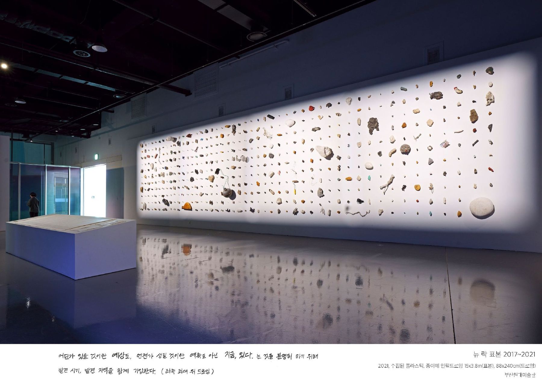 A 15-metre wall of small mounted specimens with drawings at the Museum of Contemporary Art Busan