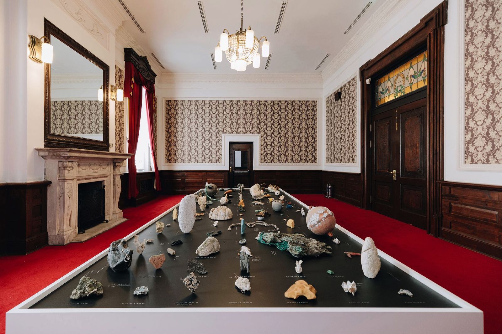 Specimens laid out on a long red-carpeted table in a historic hall