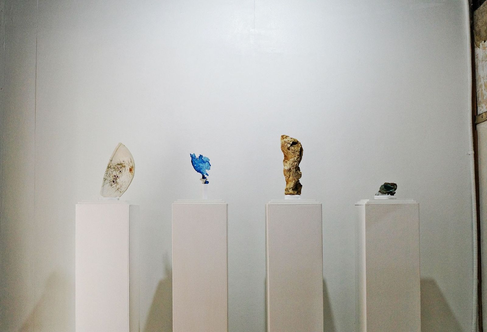 Four New Rocks presented individually on white plinths in a gallery