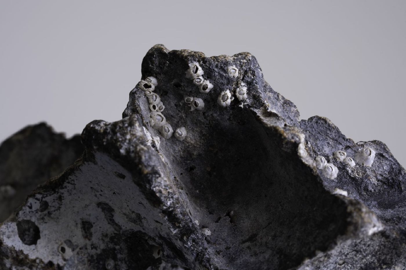 A melted, ridged dark grey plastic mass resembling a mountain range