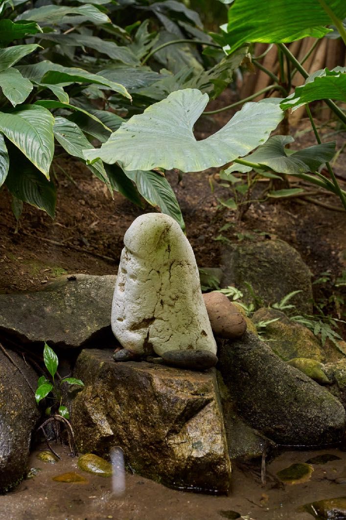 Two pale rounded objects on a ledge beneath foliage; one is stone and one is plastic